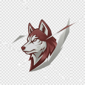 Gemini_Generated_Image_b0wo4vb0wo4vb0wo